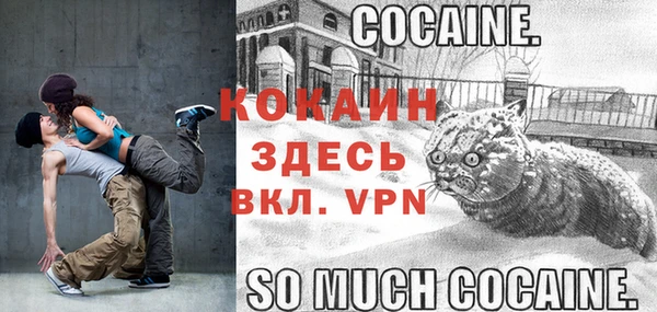 МДПВ Волосово