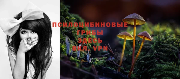 МДПВ Волосово