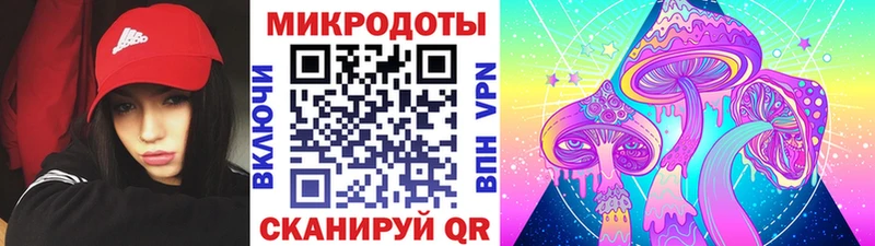 Галлюциногенные грибы мухоморы  где купить наркотик  Славянск-на-Кубани 